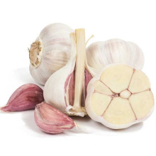 Natural 6P Fresh White Garlic Vegetables